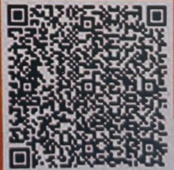 Scan to Pay